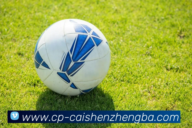 彩神争霸服务体系